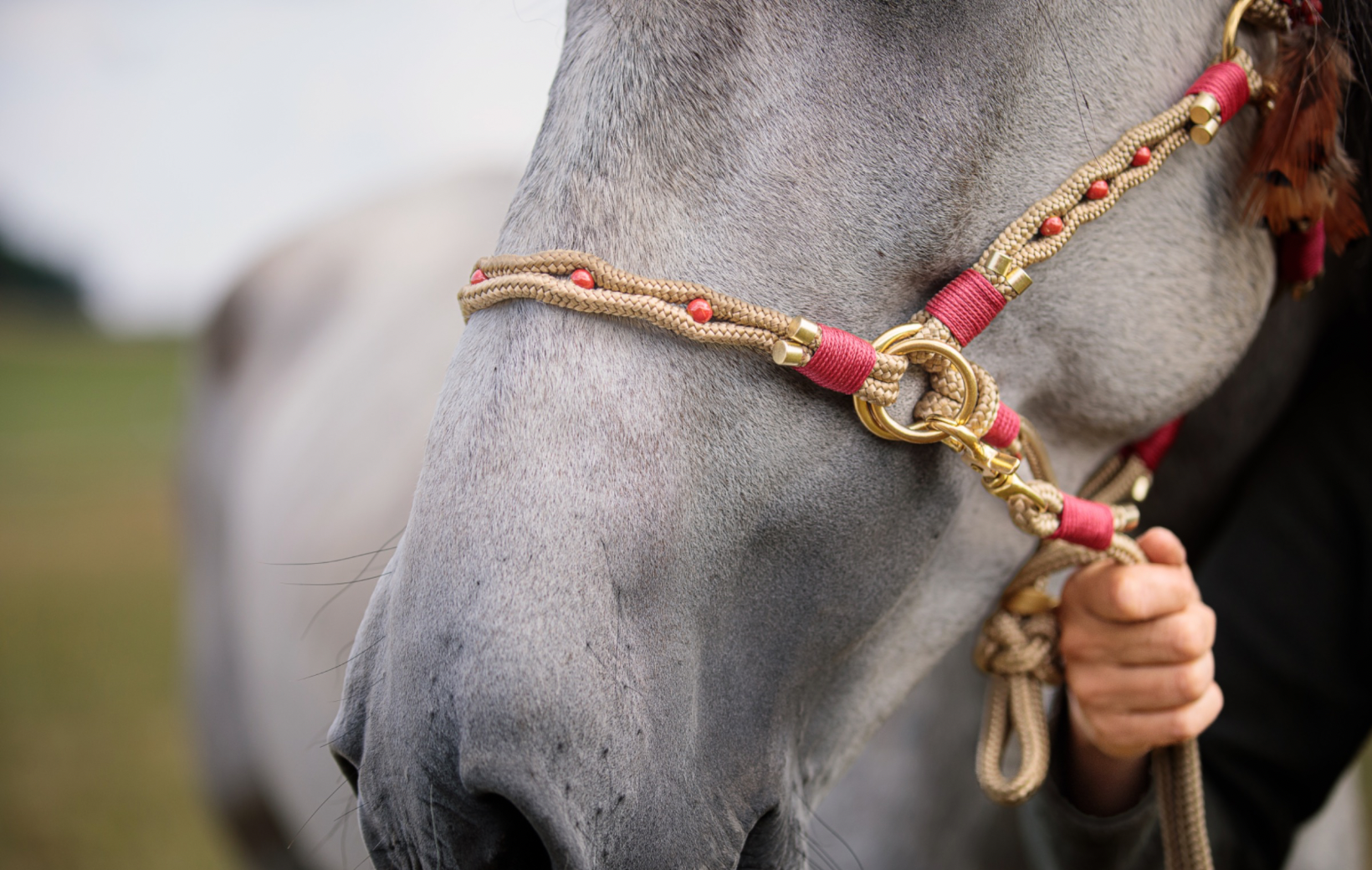 Equuszaum "Etalon" Perlentraum (8635198538060)