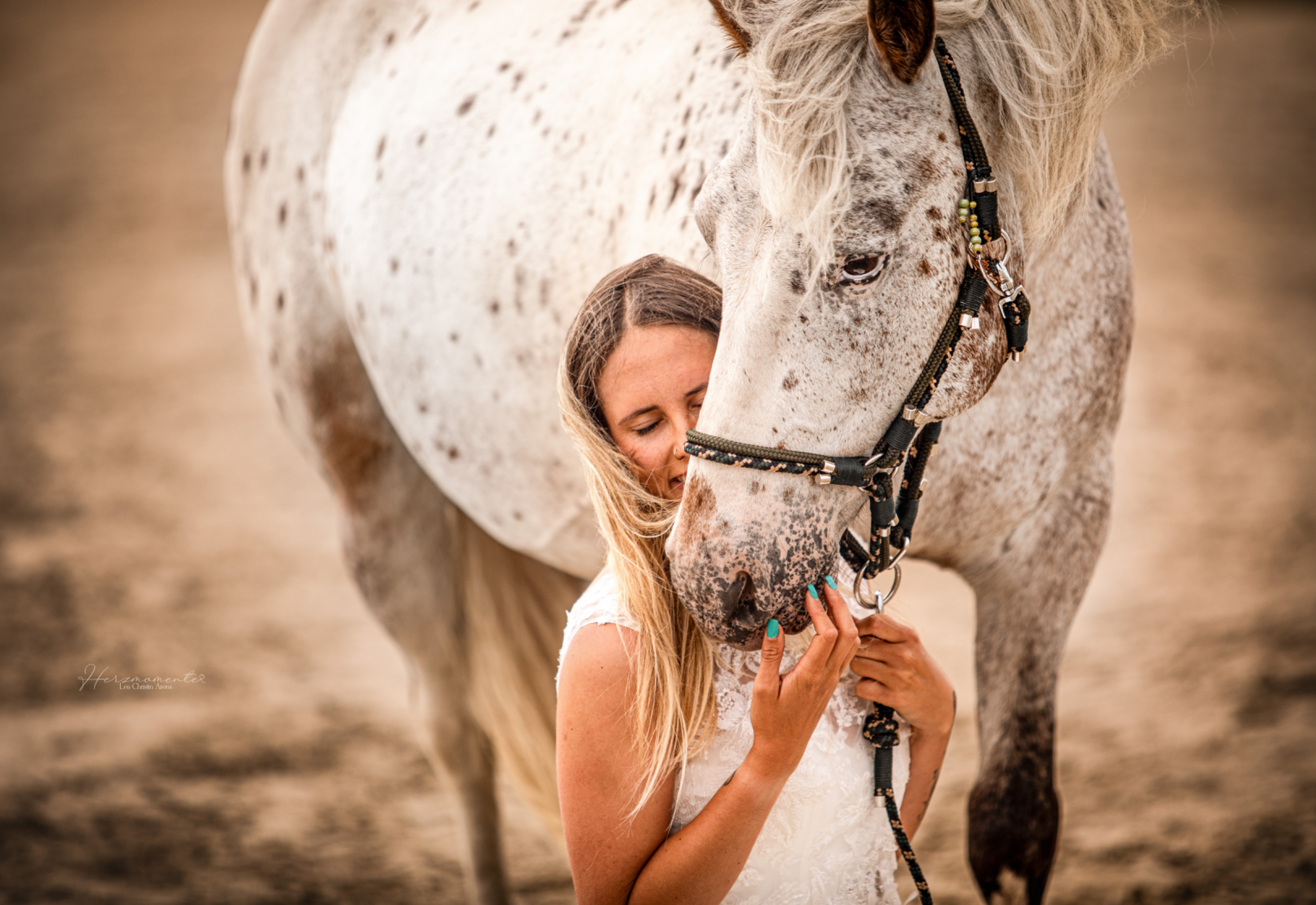 Stable halter "ARON"