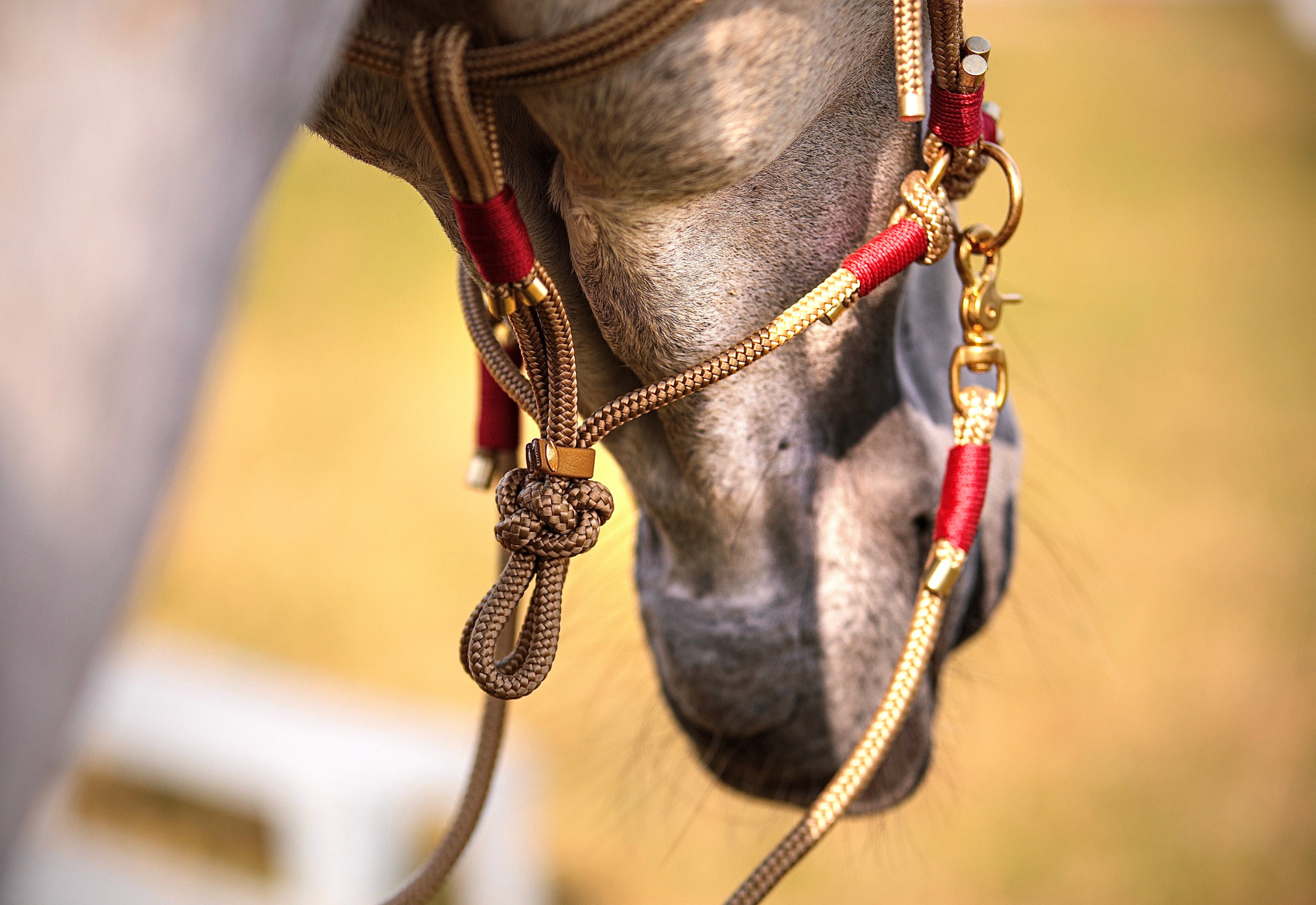 Westernzügel Split Reins "ARON"