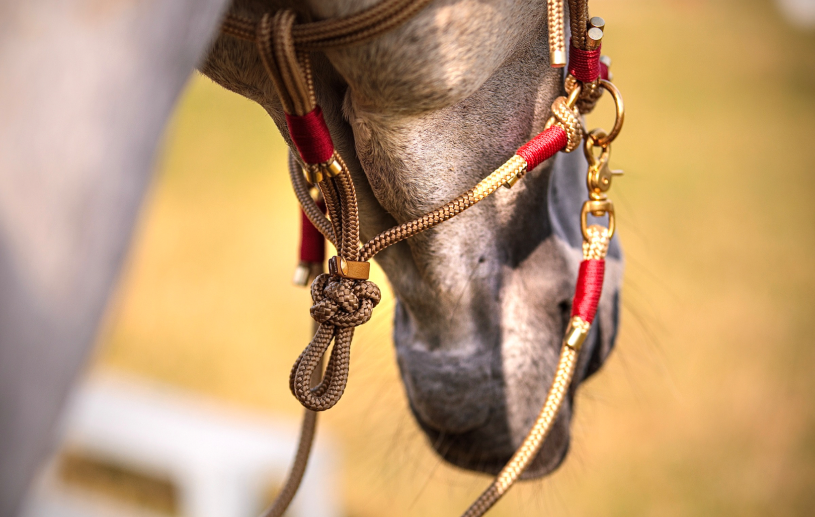 Equuszaum "Etalon" Perlentraum (8635198538060)